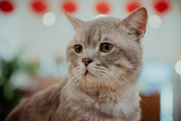 Erforschen sie die bahnbrechenden entwicklungen in der photovoltaik: fortschritte für eine nachhaltige energiezukunft!